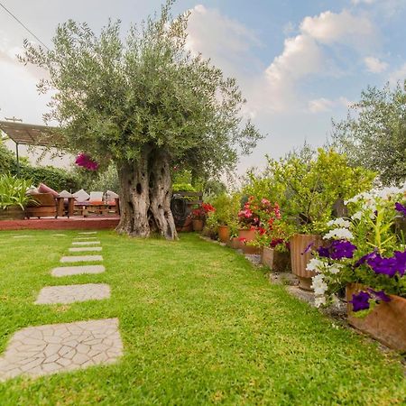 Alesti House With Garden And Private Beach Access Бенитсес Экстерьер фото