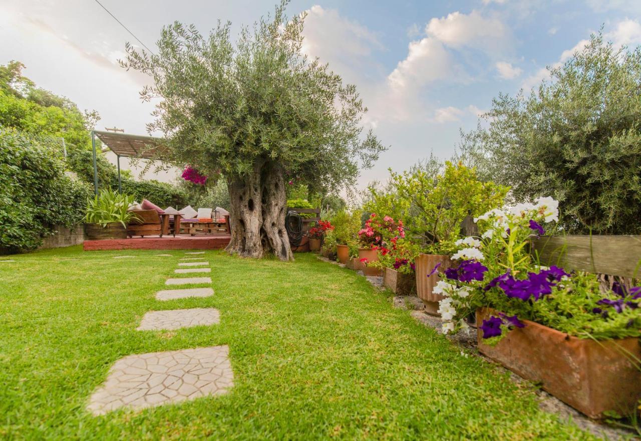 Alesti House With Garden And Private Beach Access Бенитсес Экстерьер фото